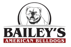 Bailey's American Bulldogs